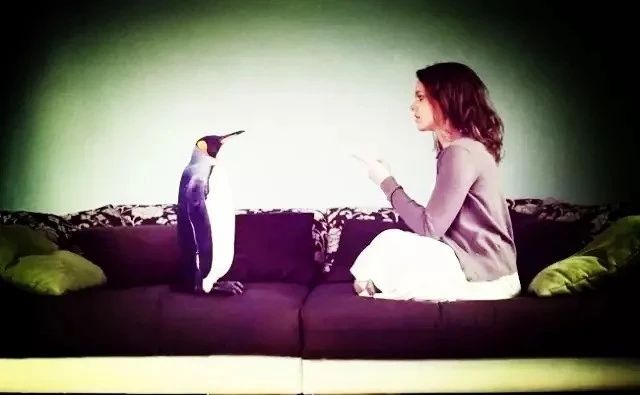 微信圖片_20201117104632 微信圖片_20201117104632